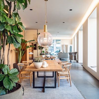 Isabel Collection Pendant Light – Elegant Glass & Metal Hanging Lamp