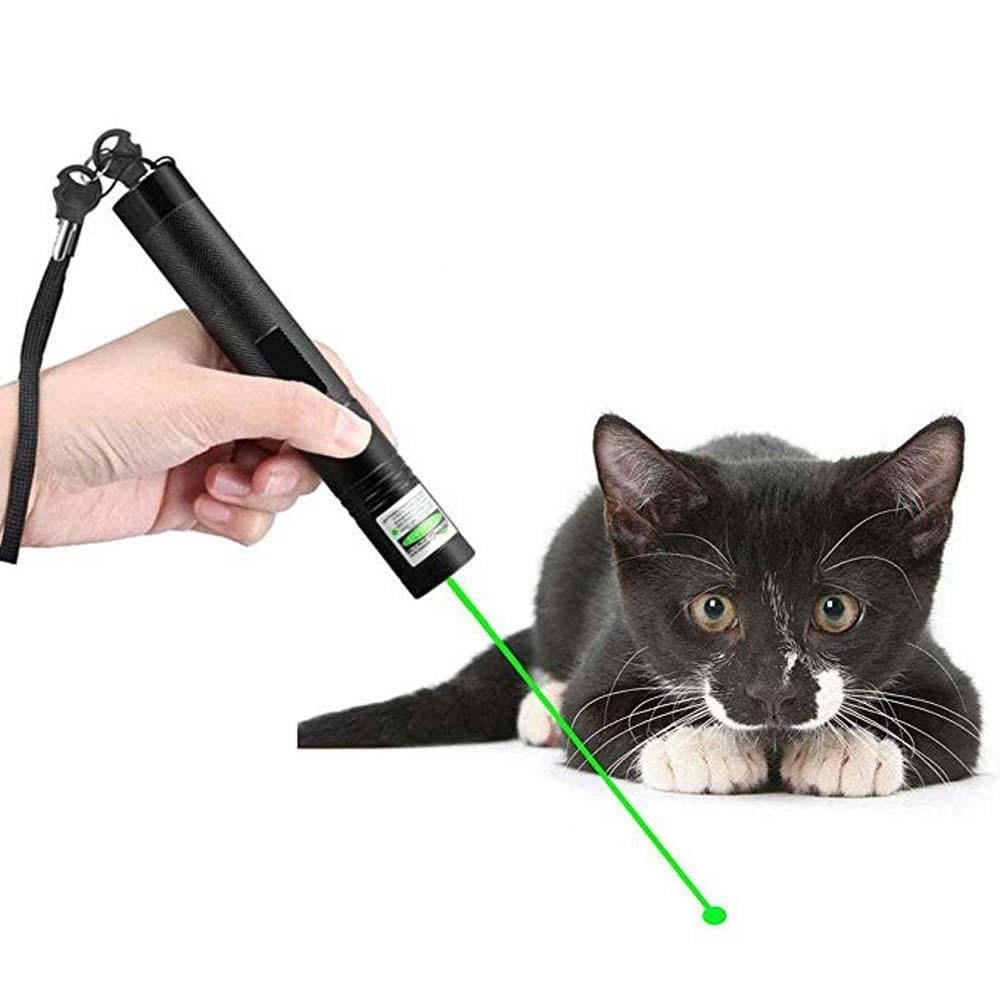 LumiPrécis 303 Laser Pointer – High-Visibility Green Beam for Precision and Durability